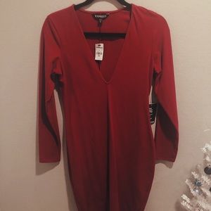 NWT • Express Bodycon Dress